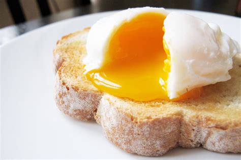 How much fat is in egg and sausage - calories, carbs, nutrition