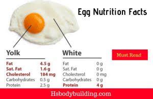 How much fat is in egg salad (1932.5) - calories, carbs, nutrition