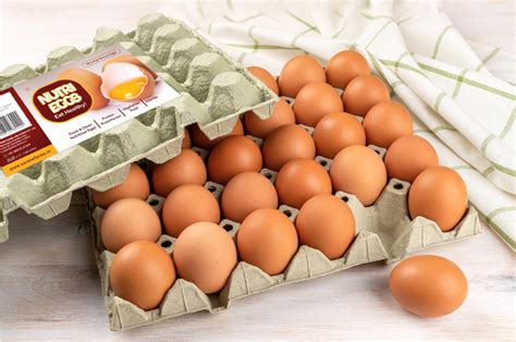 How much fat is in farm fresh eggs - calories, carbs, nutrition