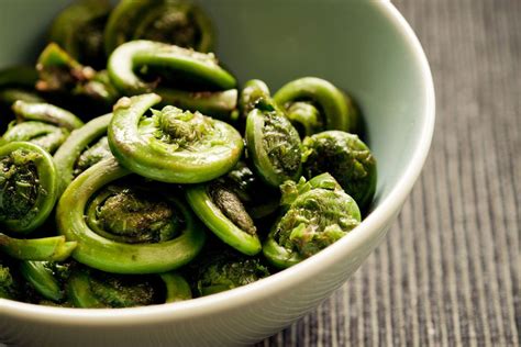 How much fat is in fiddlehead ferns - calories, carbs, nutrition