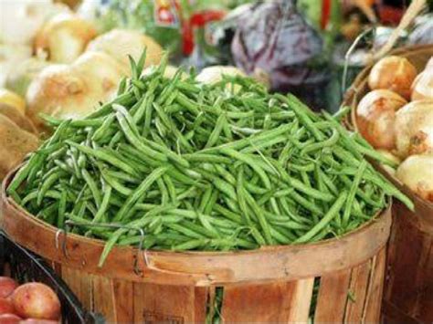 How much fat is in french beans (66237.0) - calories, carbs, nutrition