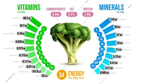 How much fat is in fresh broccoli - calories, carbs, nutrition