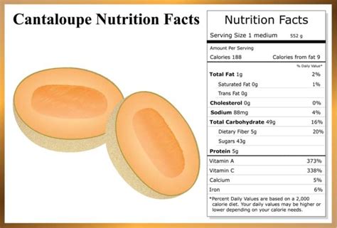 How much fat is in fresh cantaloupe balls - calories, carbs, nutrition