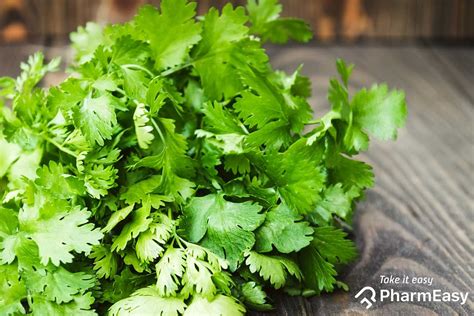 How much fat is in fresh coriander - calories, carbs, nutrition