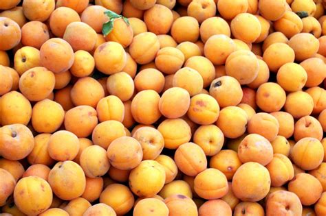 How much fat is in fresh fruit - apricots - calories, carbs, nutrition