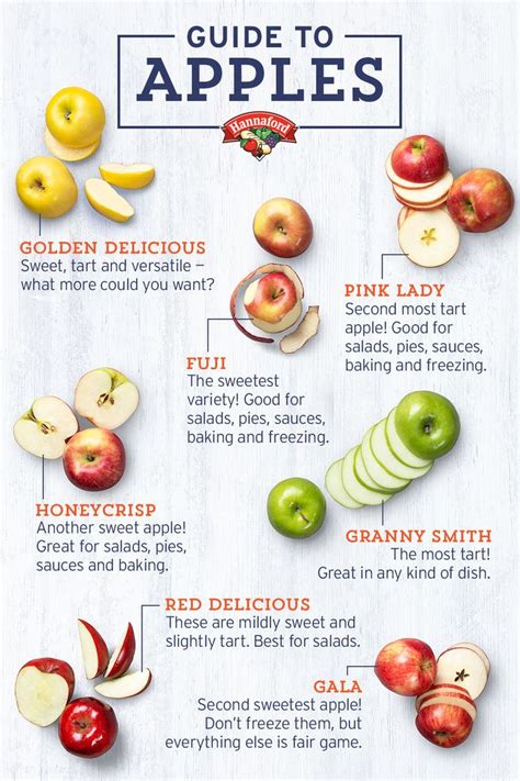 How much fat is in fresh seasonal apples - calories, carbs, nutrition