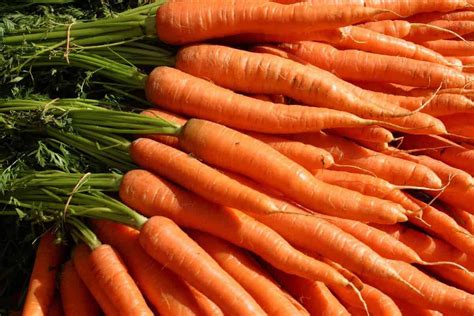 How much fat is in fresh sliced carrots - calories, carbs, nutrition