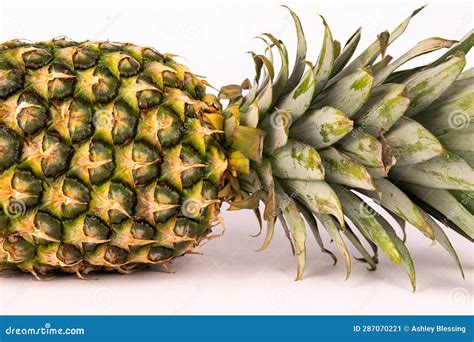 How much fat is in fresh untrimmed pineapple - calories, carbs, nutrition