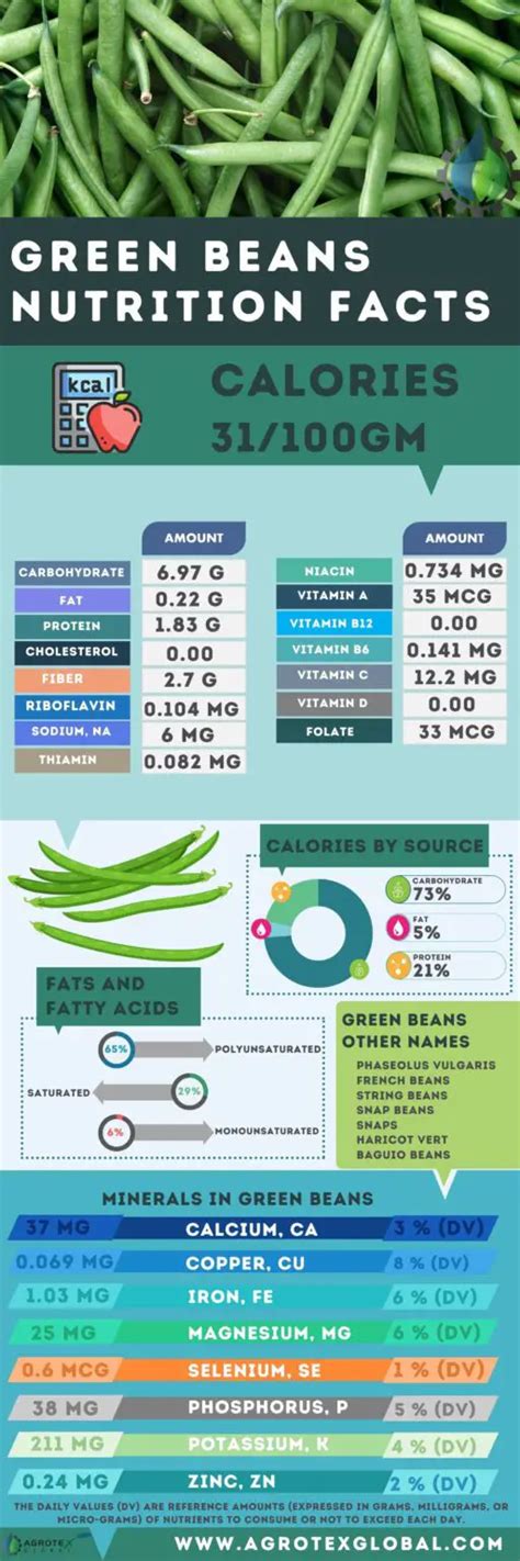 How much fat is in green beans - calories, carbs, nutrition