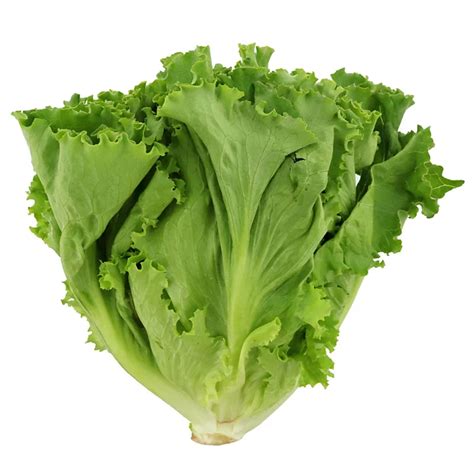 How much fat is in green leaf lettuce (38038.2) - calories, carbs, nutrition