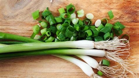 How much fat is in green onions, fresh - calories, carbs, nutrition