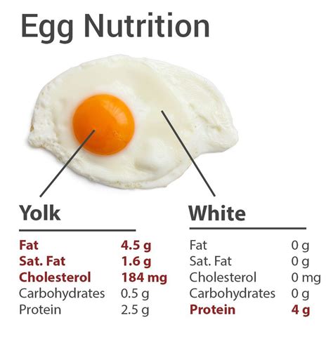 How much fat is in ham, egg & cheese bagel - calories, carbs, nutrition