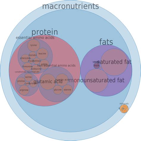 How much fat is in lamb, new zealand, imported, hind-shank, separable lean only, raw - calories, carbs, nutrition