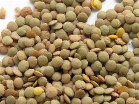 How much fat is in lentils - calories, carbs, nutrition