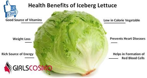 How much fat is in lettuce - calories, carbs, nutrition