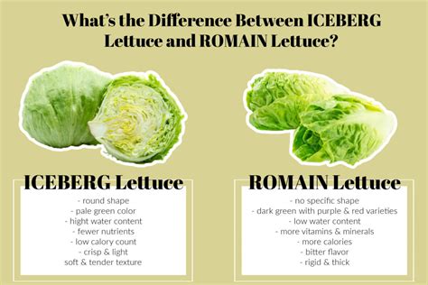 How much fat is in lettuce iceberg romaine & spring mix 1 oz - calories, carbs, nutrition