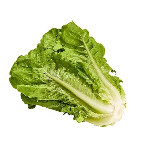 How much fat is in lettuce romaine chopped 1 oz - calories, carbs, nutrition