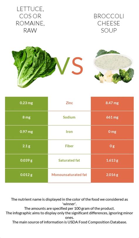 How much fat is in lettuce soup - calories, carbs, nutrition