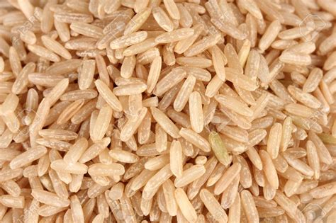 How much fat is in long grain brown rice - calories, carbs, nutrition