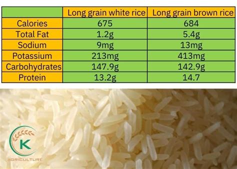 How much fat is in long grain white rice - calories, carbs, nutrition