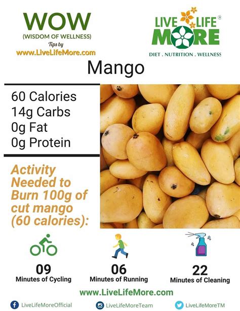 How much fat is in mango & pineapple guacamole with chips - calories, carbs, nutrition