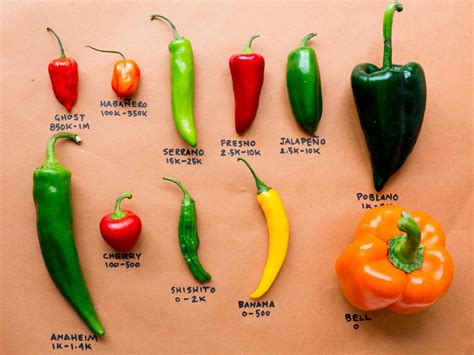 How much fat is in mexican chili - calories, carbs, nutrition