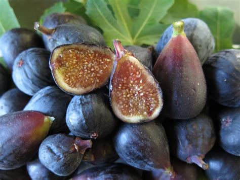 How much fat is in mission figs - calories, carbs, nutrition