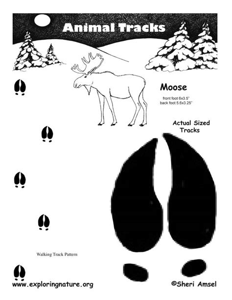 How much fat is in moose tracks - calories, carbs, nutrition