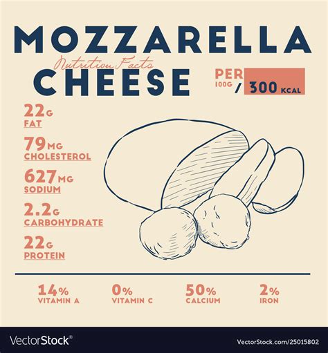 How much fat is in mozzarella - calories, carbs, nutrition