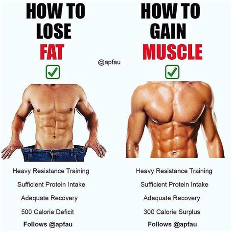 How much fat is in muscle gain-chocolate - calories, carbs, nutrition