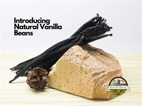How much fat is in natural vanilla bean - calories, carbs, nutrition