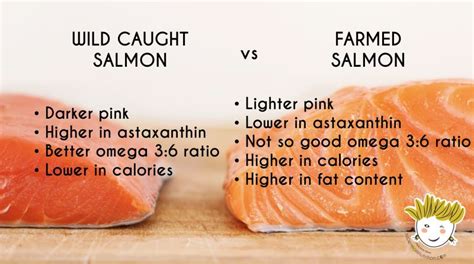 How much fat is in orange salmon - calories, carbs, nutrition