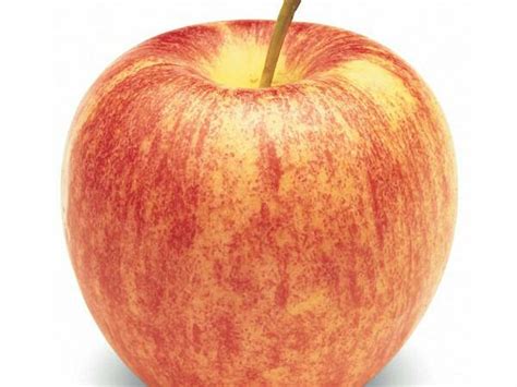 How much fat is in organic gala apple - calories, carbs, nutrition