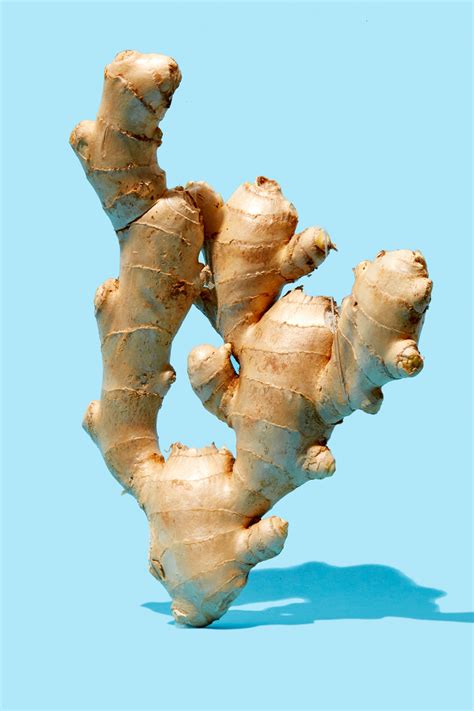 How much fat is in original ginger 