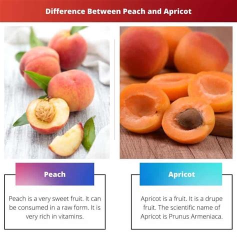 How much fat is in peach, apricot & mandarin aqua fresca - calories, carbs, nutrition