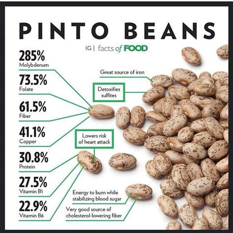 How much fat is in pinto beans - calories, carbs, nutrition