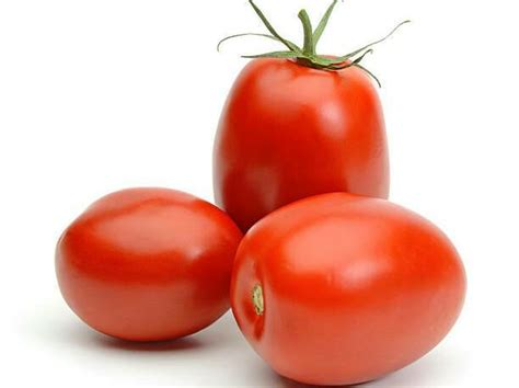 How much fat is in plum tomato & fresh herb salad - calories, carbs, nutrition