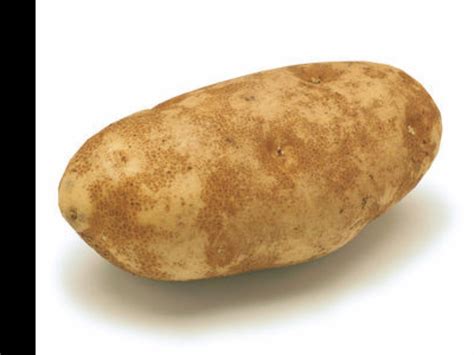 How much fat is in potato rounds - calories, carbs, nutrition