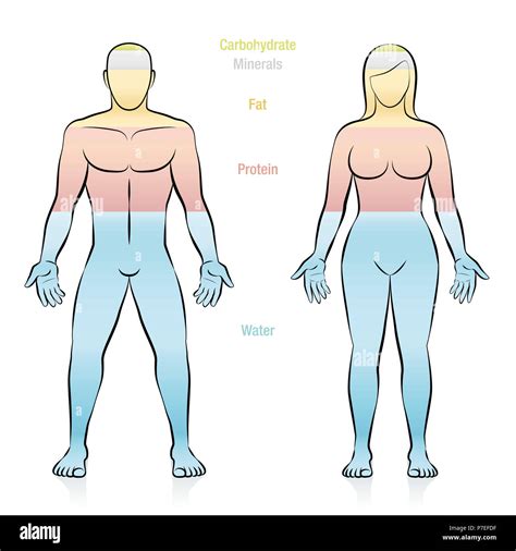 How much fat is in protein water - calories, carbs, nutrition