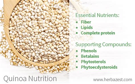 How much fat is in quinoa & chia cereal - calories, carbs, nutrition