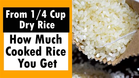 How much fat is in rice bamboo 1 cup - calories, carbs, nutrition