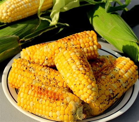 How much fat is in roasted corn on the cob - calories, carbs, nutrition