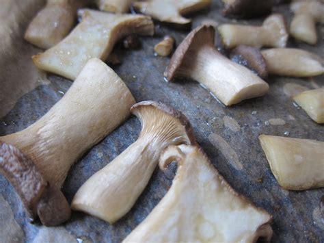 How much fat is in roasted royal trumpet mushrooms - calories, carbs, nutrition