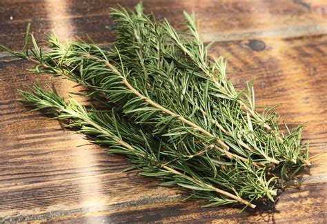 How much fat is in rosemary - calories, carbs, nutrition