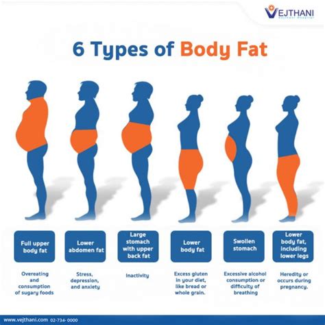 How much fat is in rounds - calories, carbs, nutrition