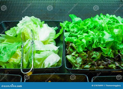 How much fat is in salad bar lettuce - calories, carbs, nutrition