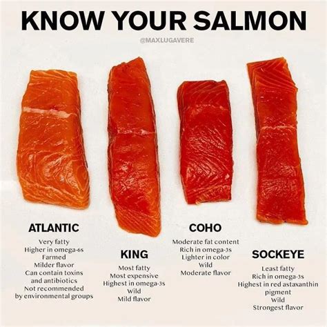 How much fat is in salmon atlantic fresh simply grilled 4 oz - calories, carbs, nutrition