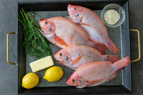 How much fat is in sand tilapia 5-7 oz fresh simply grilled - calories, carbs, nutrition