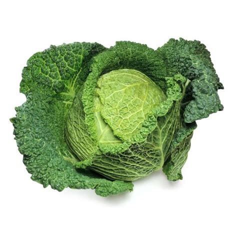 How much fat is in savoy cabbage, fresh - calories, carbs, nutrition