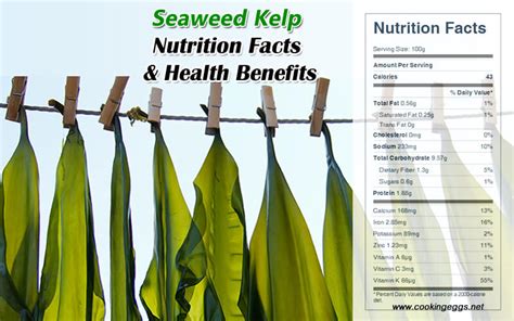 How much fat is in seaweed, kelp, raw - calories, carbs, nutrition